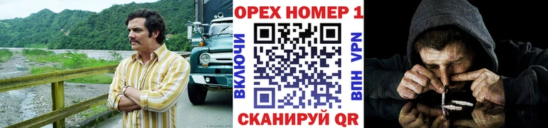 Купить закладки  Мичуринск  Cocaine Fish Scale 