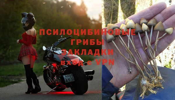 кокс Горняк